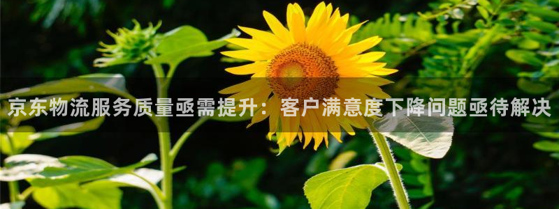 超凡国际提现不到账