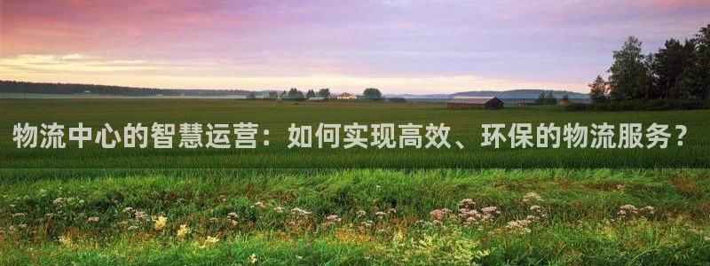 超凡国际官方网站：物流中心的智慧运营