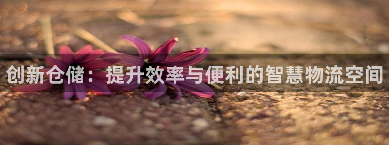 超凡国际注册上限是啥意思：创新仓储：
