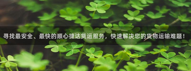 加拿大超凡国际是什么：寻找最安全、最
