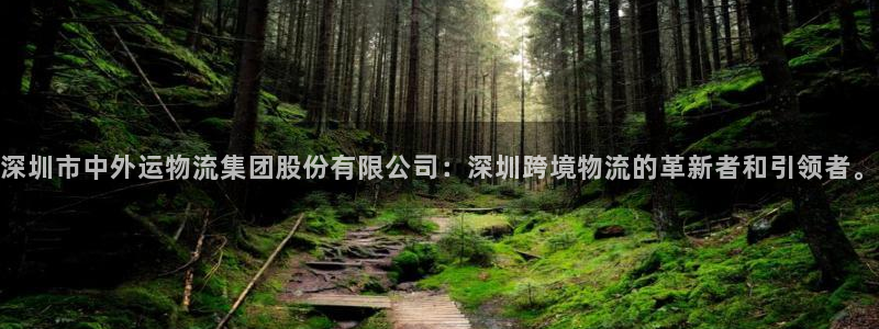 超凡国际龙虎：深圳市中外运物流集团股