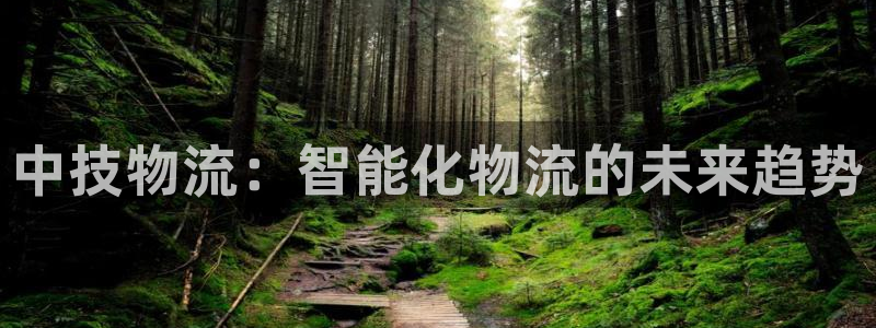 超凡国际反水：中技物流：智能化物流的