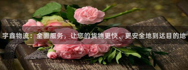超凡国际里的财神：宇鑫物流：全面服务