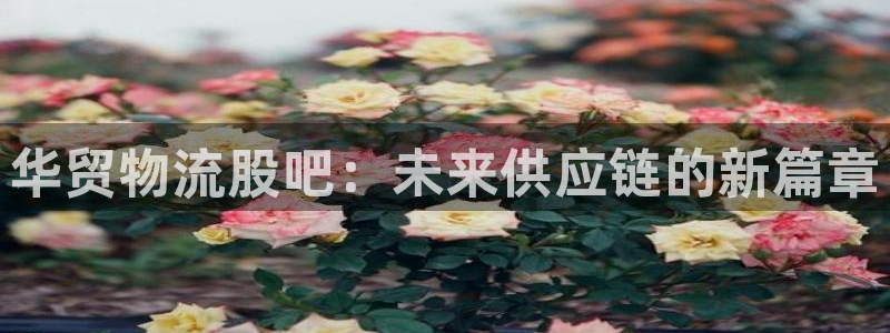 超凡国际官网入口南宫：华贸物流股吧：