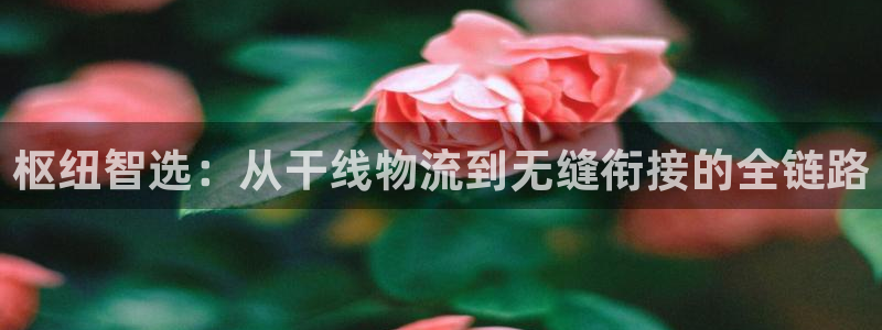 超凡国际加拿大：枢纽智选：从干线物流