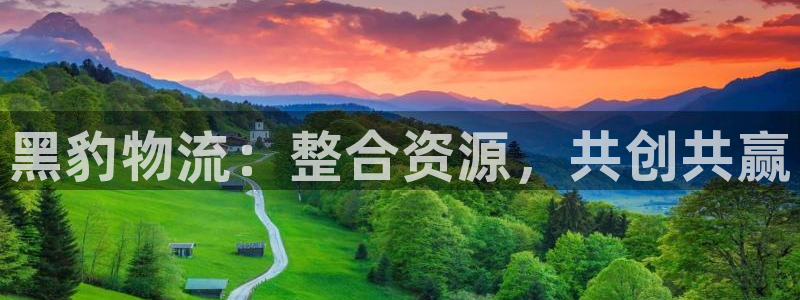 超凡国际注册账号：黑豹物流：整合资源