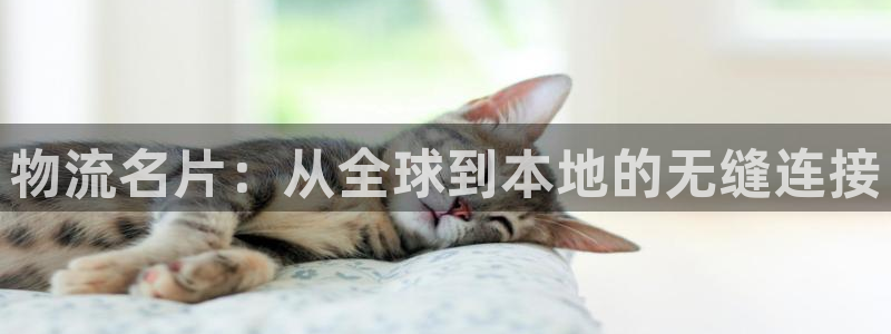 超凡国际能提现吗：物流名片：从全球到