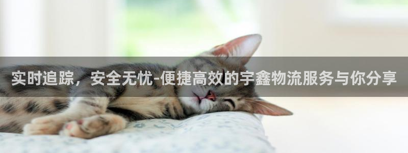超凡国际充值不到账怎么回事：实时追踪，安全无忧-便捷高效的宇