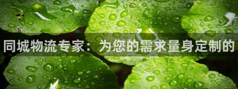 超凡国际网站怎么注册：同城物流专家：