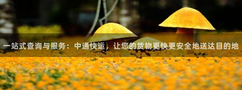 超凡国际注册上限是啥意思：一站式查询