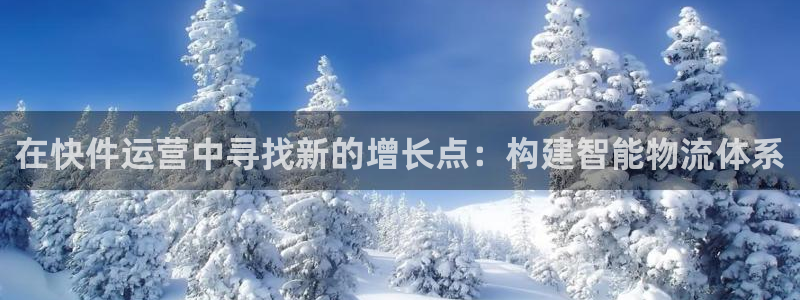 超凡国际ccm游戏：在快件运营中寻找新的增长点：构建智能物流