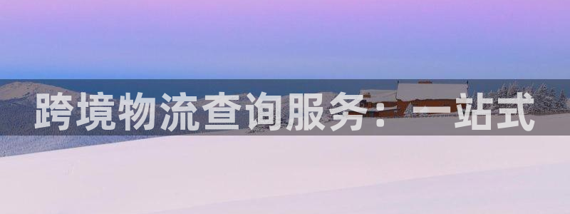 超凡国际提现不到账：跨境物流查询服务：一站式